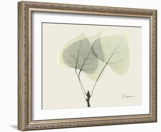 Aspen Moment-Albert Koetsier-Framed Art Print