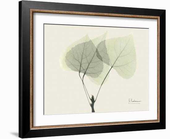 Aspen Moment-Albert Koetsier-Framed Art Print