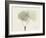 Aspen Moment-Albert Koetsier-Framed Art Print