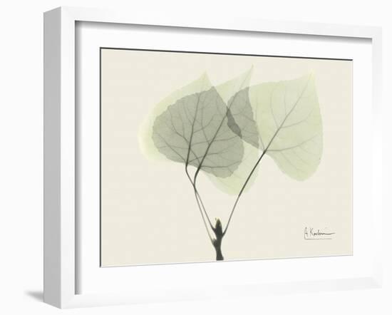 Aspen Moment-Albert Koetsier-Framed Art Print