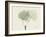 Aspen Moment-Albert Koetsier-Framed Art Print