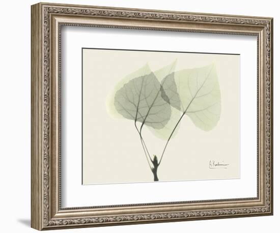 Aspen Moment-Albert Koetsier-Framed Premium Giclee Print