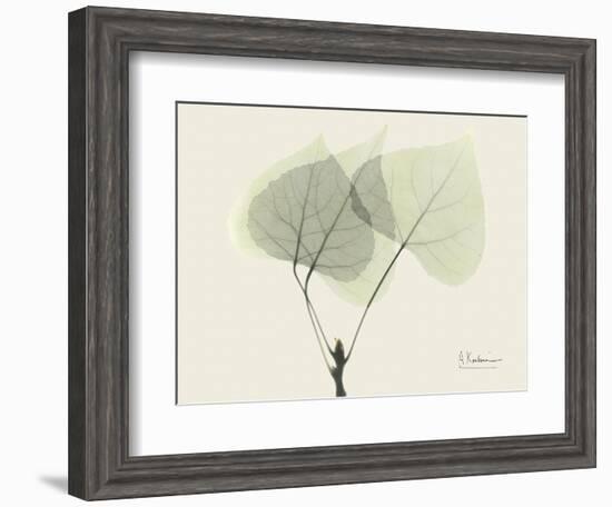 Aspen Moment-Albert Koetsier-Framed Premium Giclee Print