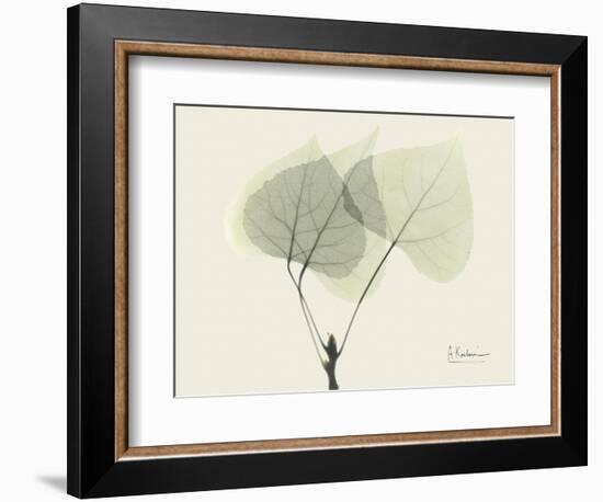 Aspen Moment-Albert Koetsier-Framed Premium Giclee Print