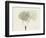 Aspen Moment-Albert Koetsier-Framed Premium Giclee Print