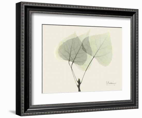 Aspen Moment-Albert Koetsier-Framed Premium Giclee Print