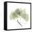 Aspen Portrait-Albert Koetsier-Framed Stretched Canvas