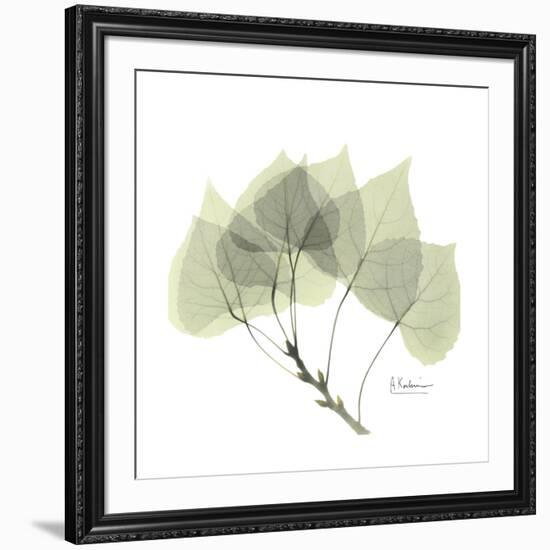 Aspen Portrait-Albert Koetsier-Framed Premium Giclee Print