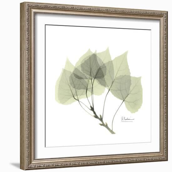 Aspen Portrait-Albert Koetsier-Framed Premium Giclee Print