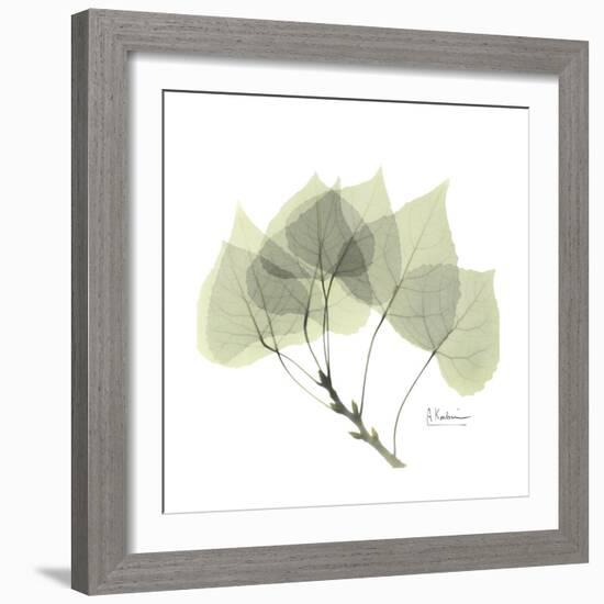 Aspen Portrait-Albert Koetsier-Framed Premium Giclee Print