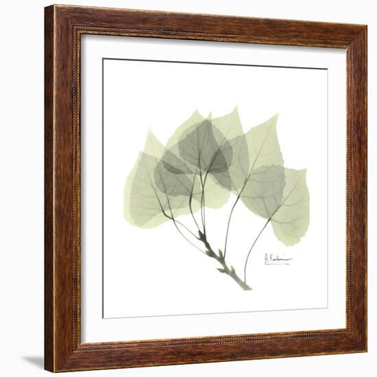 Aspen Portrait-Albert Koetsier-Framed Premium Giclee Print