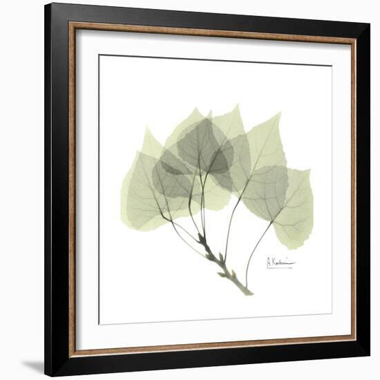 Aspen Portrait-Albert Koetsier-Framed Premium Giclee Print