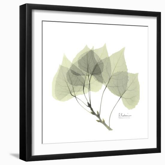 Aspen Portrait-Albert Koetsier-Framed Premium Giclee Print