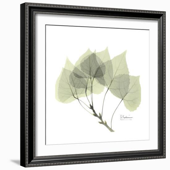 Aspen Portrait-Albert Koetsier-Framed Premium Giclee Print