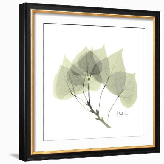 Aspen Portrait-Albert Koetsier-Framed Premium Giclee Print