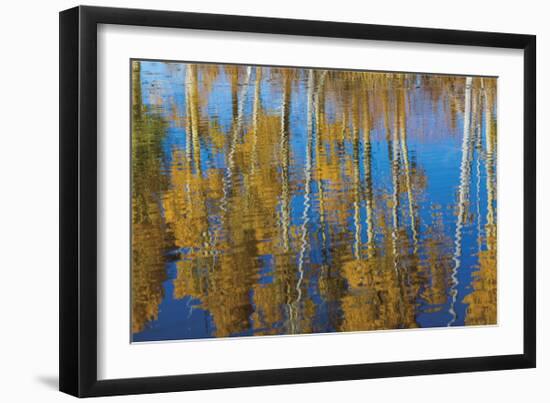 Aspen Reflection-Don Paulson-Framed Giclee Print