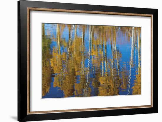 Aspen Reflection-Don Paulson-Framed Giclee Print