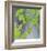 Aspen Sapling-Ken Bremer-Framed Limited Edition