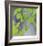 Aspen Sapling-Ken Bremer-Framed Limited Edition