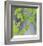 Aspen Sapling-Ken Bremer-Framed Limited Edition