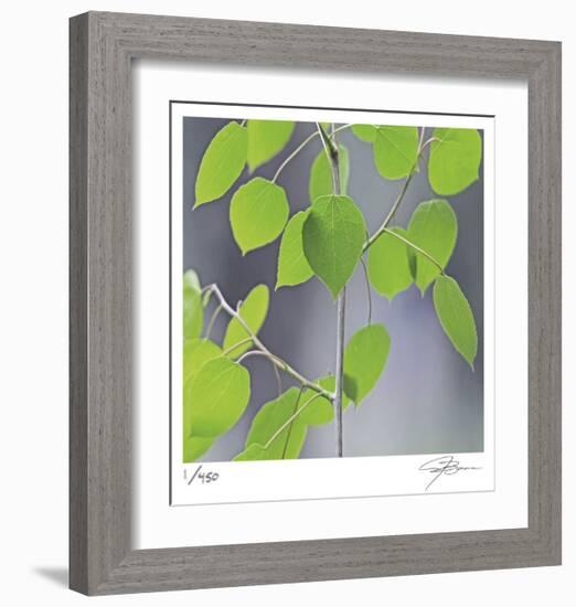 Aspen Sapling-Ken Bremer-Framed Limited Edition