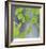 Aspen Sapling-Ken Bremer-Framed Limited Edition