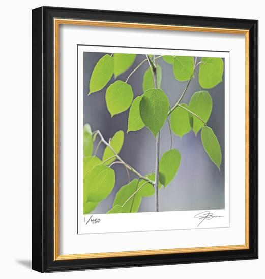 Aspen Sapling-Ken Bremer-Framed Limited Edition