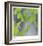 Aspen Sapling-Ken Bremer-Framed Limited Edition