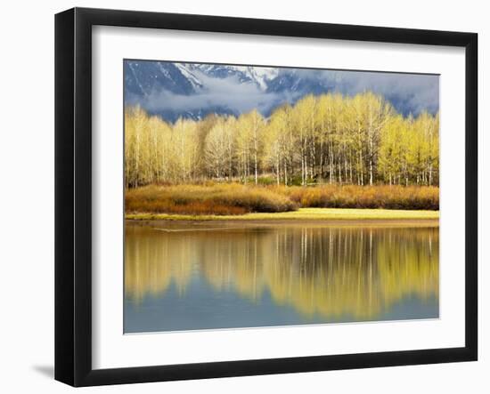 Aspen Stand and Reflection in Early Spring, Grand Teton National Park, Wyoming, Usa-Adam Jones-Framed Photographic Print