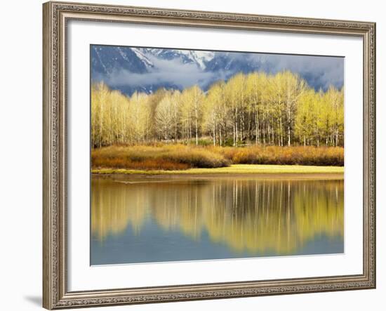 Aspen Stand and Reflection in Early Spring, Grand Teton National Park, Wyoming, Usa-Adam Jones-Framed Photographic Print