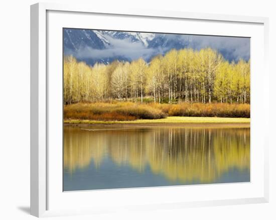 Aspen Stand and Reflection in Early Spring, Grand Teton National Park, Wyoming, Usa-Adam Jones-Framed Photographic Print