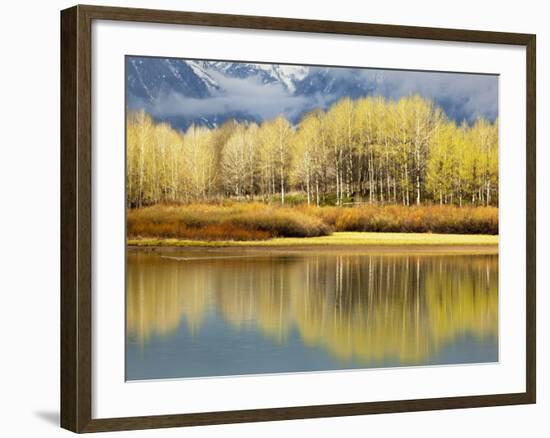 Aspen Stand and Reflection in Early Spring, Grand Teton National Park, Wyoming, Usa-Adam Jones-Framed Photographic Print