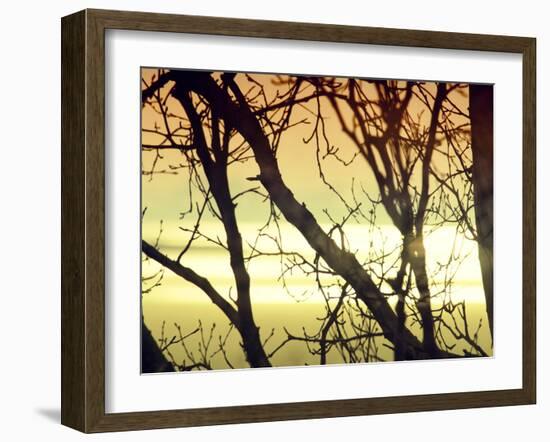 Aspen Sunset-Savanah Plank-Framed Photo