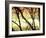 Aspen Sunset-Savanah Plank-Framed Photo