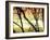 Aspen Sunset-Savanah Plank-Framed Photo