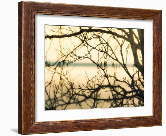 Aspen Sunset-Savanah Plank-Framed Photo