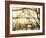 Aspen Sunset-Savanah Plank-Framed Photo