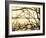 Aspen Sunset-Savanah Plank-Framed Photo