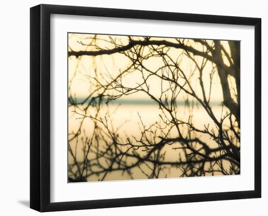 Aspen Sunset-Savanah Plank-Framed Photo