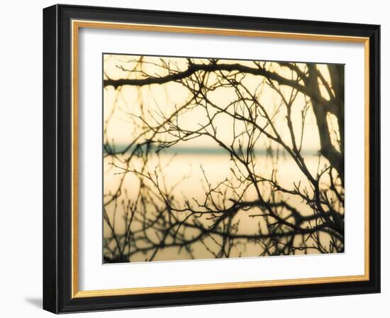 Aspen Sunset-Savanah Plank-Framed Photo