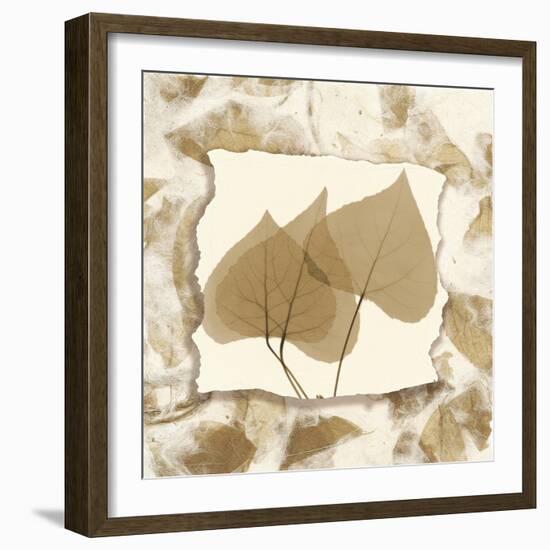 Aspen Touches-Albert Koetsier-Framed Art Print