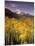 Aspen Tree, Snowcapped Mountain, San Juan National Forest, Colorado, USA-Stuart Westmorland-Mounted Premium Photographic Print