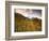 Aspen Tree, Snowcapped Mountain, San Juan National Forest, Colorado, USA-Stuart Westmorland-Framed Photographic Print