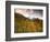 Aspen Tree, Snowcapped Mountain, San Juan National Forest, Colorado, USA-Stuart Westmorland-Framed Photographic Print