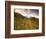 Aspen Tree, Snowcapped Mountain, San Juan National Forest, Colorado, USA-Stuart Westmorland-Framed Photographic Print