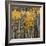 Aspen Trees 2-Jamie Cook-Framed Giclee Print