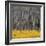 Aspen Trees 4-Jamie Cook-Framed Giclee Print