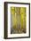 Aspen Trees Along Hwy 395/Conway Pass, California, USA-Joe Restuccia III-Framed Photographic Print