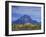 Aspen Trees along Oxbow Bend, Grand Tetons National Park, Wyoming, USA-Hugh Rose-Framed Photographic Print