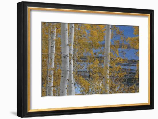 Aspen Trees and Lake-Don Paulson-Framed Giclee Print